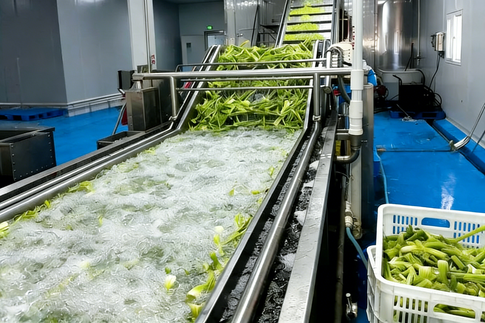 Leafy Vegetable Processing Line