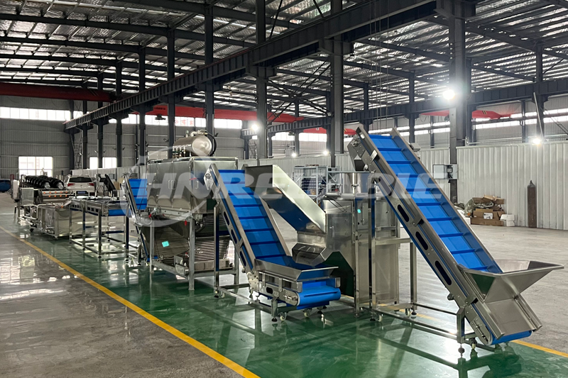 Revolutionize Your Garlic Processing with Our High-Capacity Garlic Peeling Line