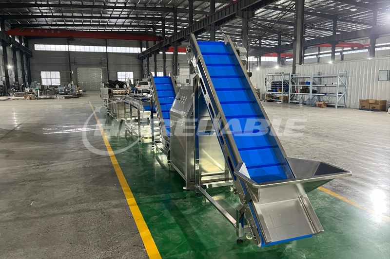 Onion Crisp Production Line