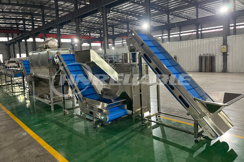 Peeled Garlic Production Line