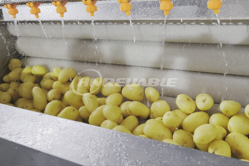 Brush washing machine(25)