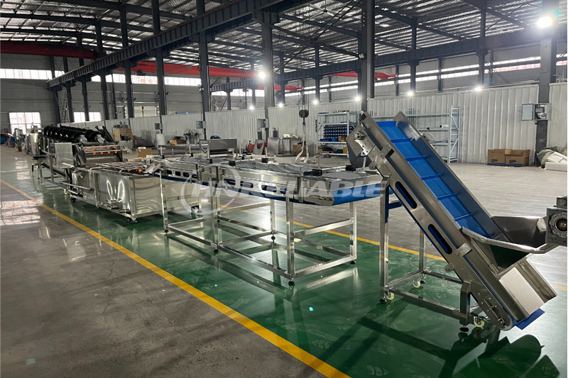 washing and air drying line