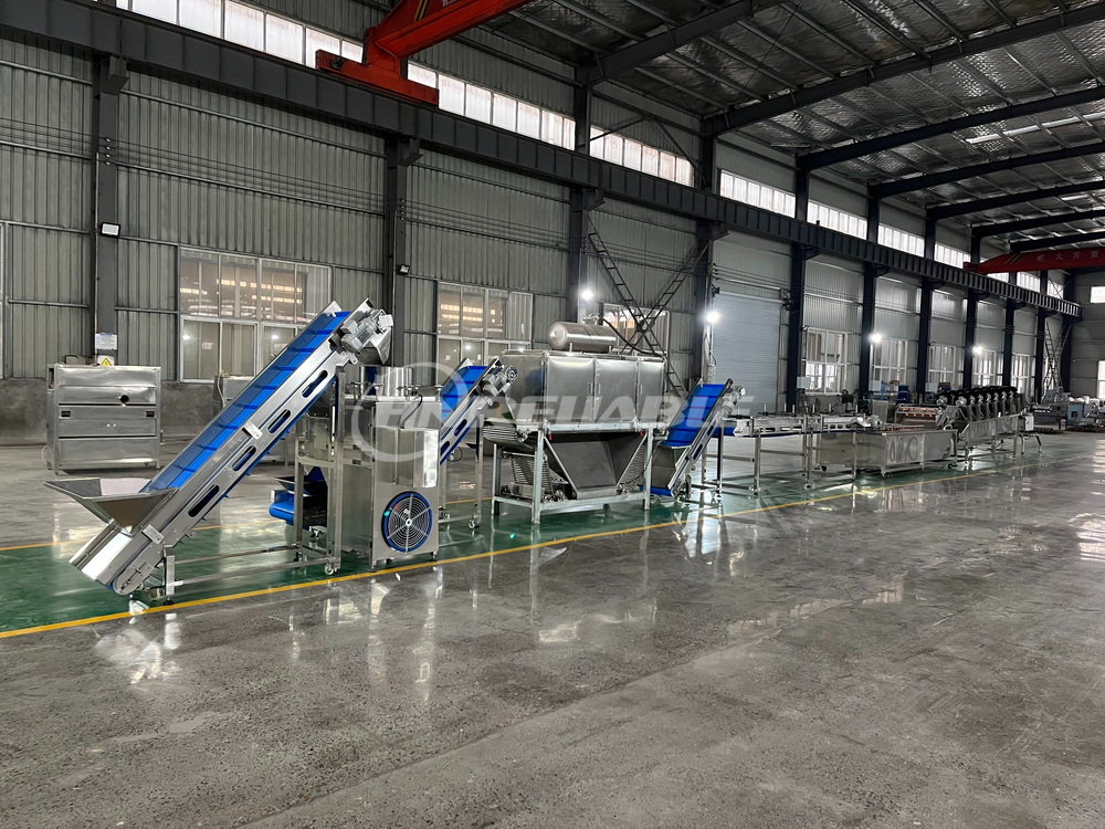 How to Choosing the Best Garlic Peeling Machine for your garlic bussiness?