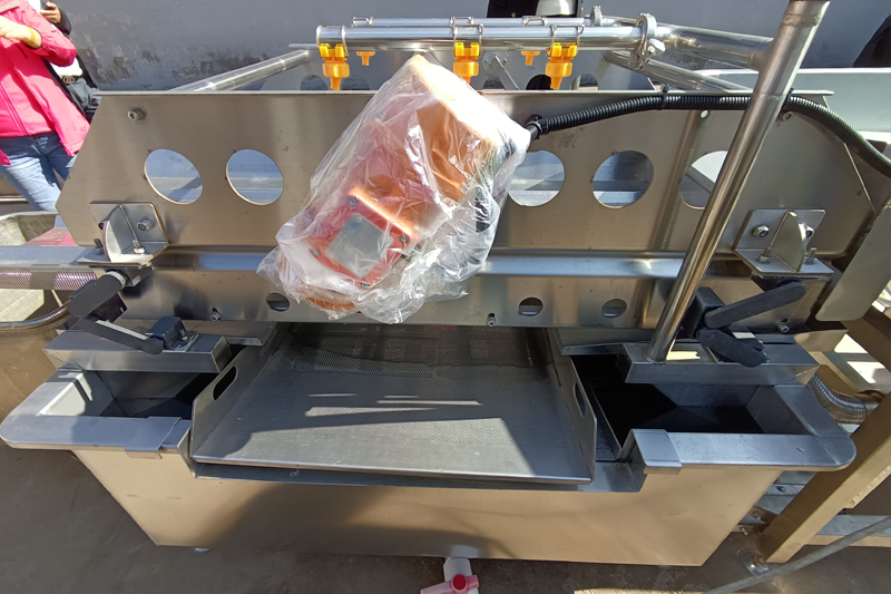 Vegetable vortex washing machine