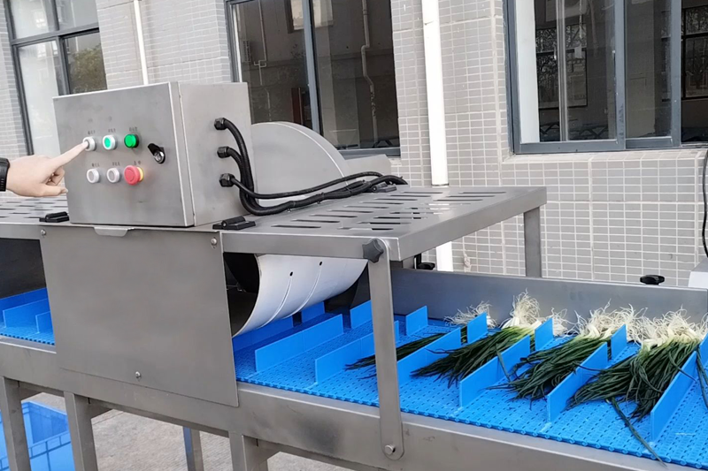Vegetable Root Cutting Machine