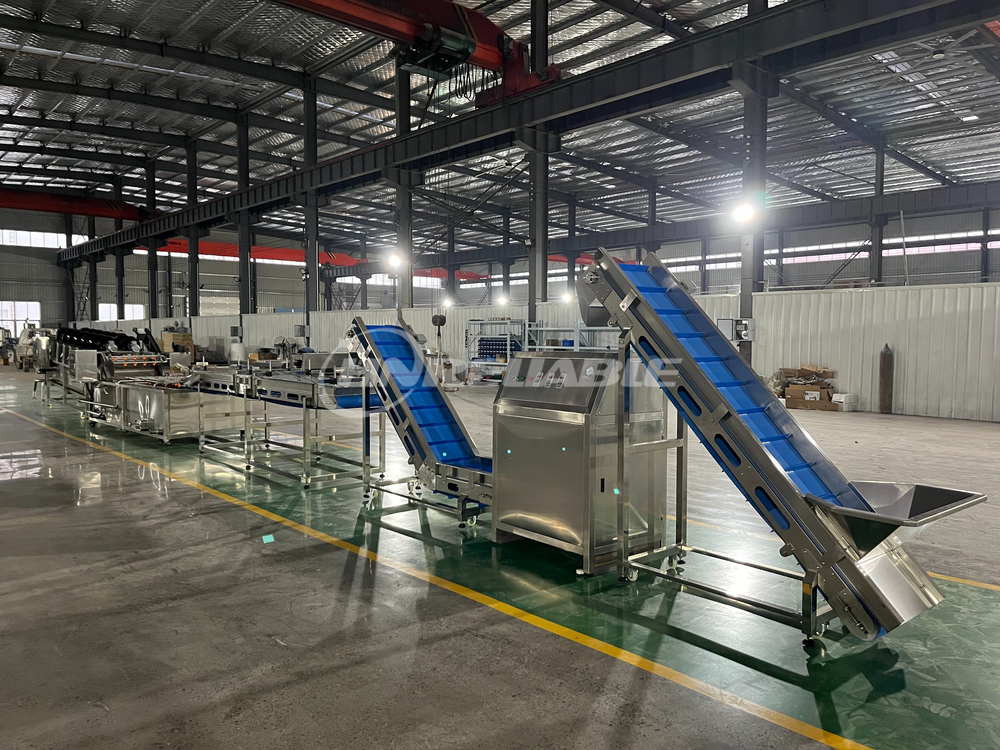 2025_12_12_16_47_IMG_5069