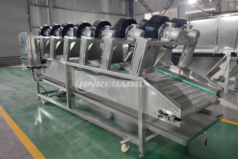 Onion cooling machine