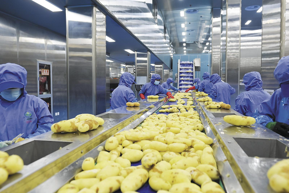 土豆挑拣c6f124e734810972294c60e95a8559c1