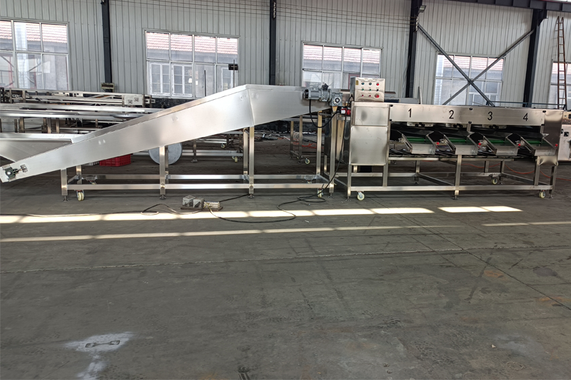 Fruit Vegetable Grading Line
