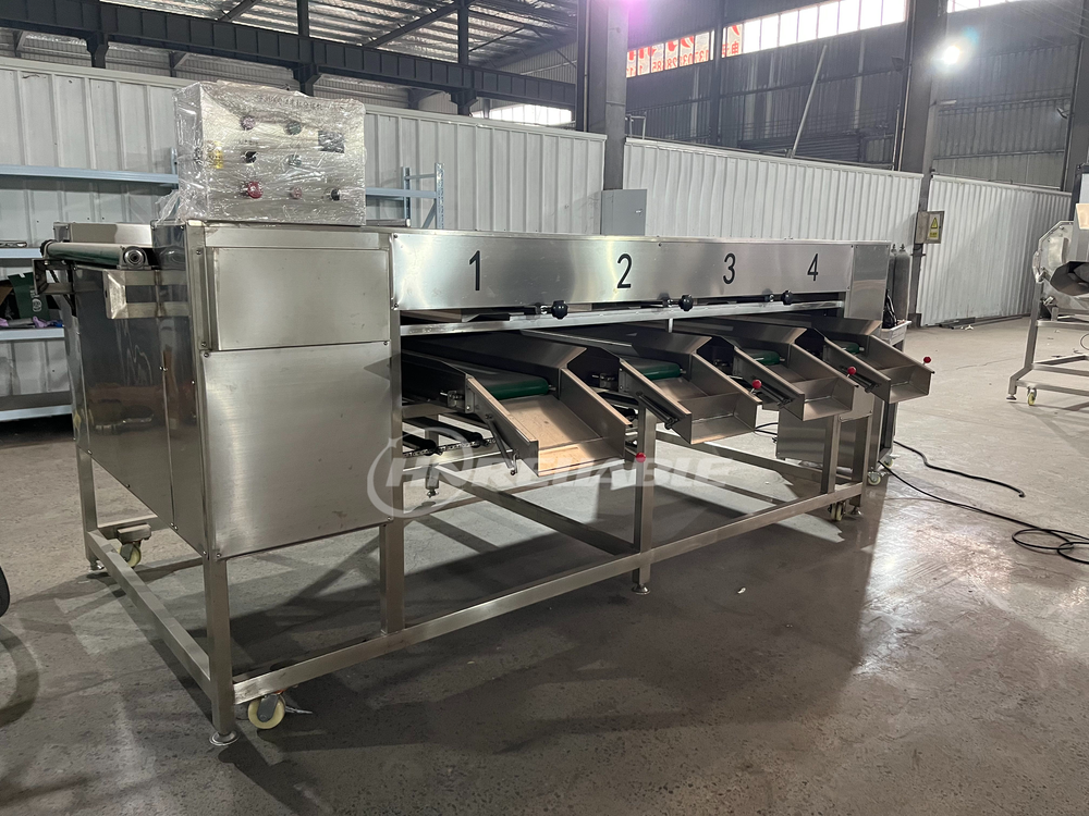 2026_01_29_15_08_IMG_5728