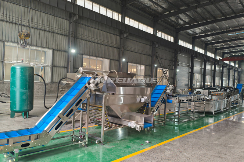 onion peeling line 800x533